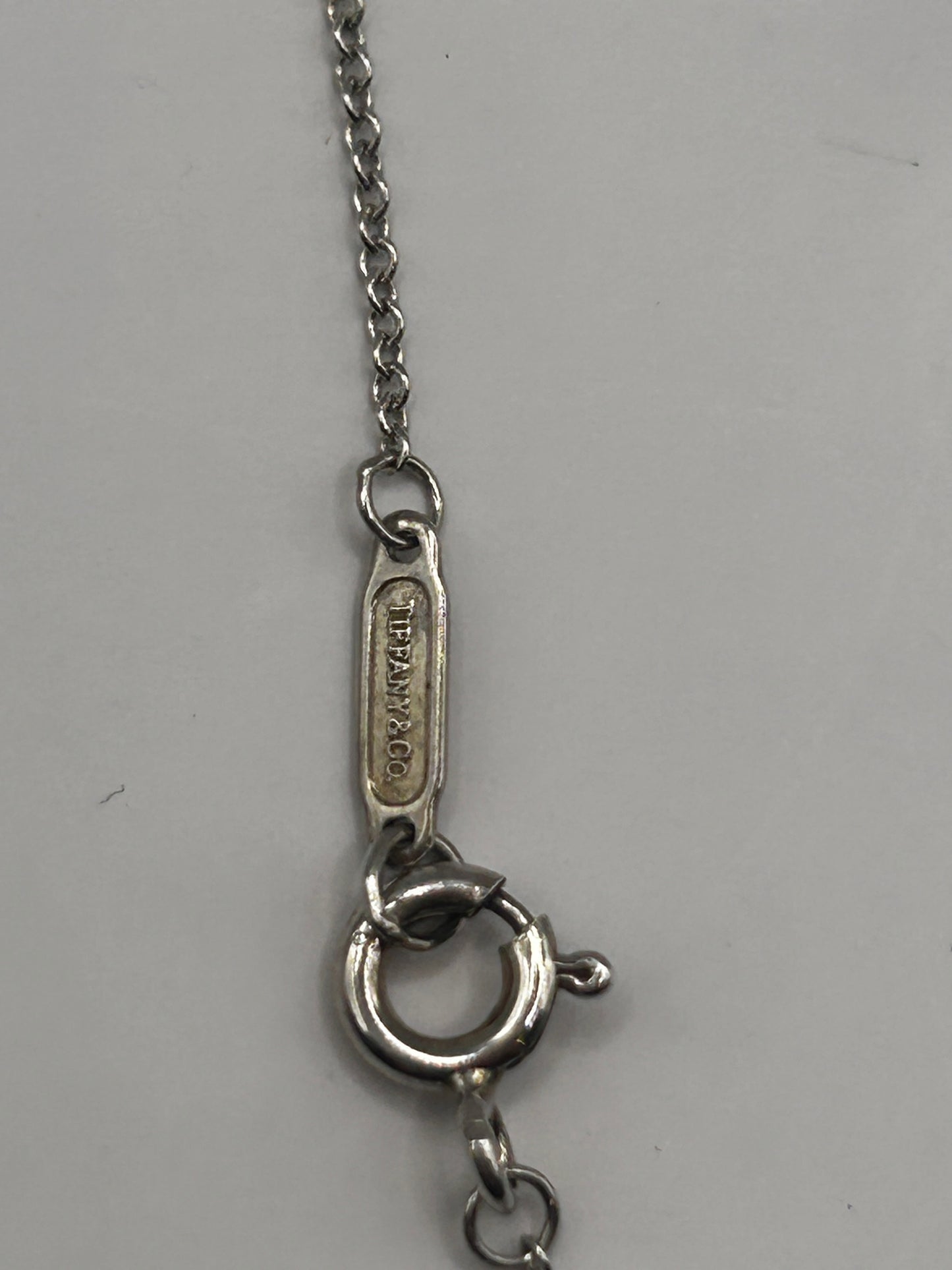 Tiffany & Co. Frank Gehry Fish Circle Pendant Necklace