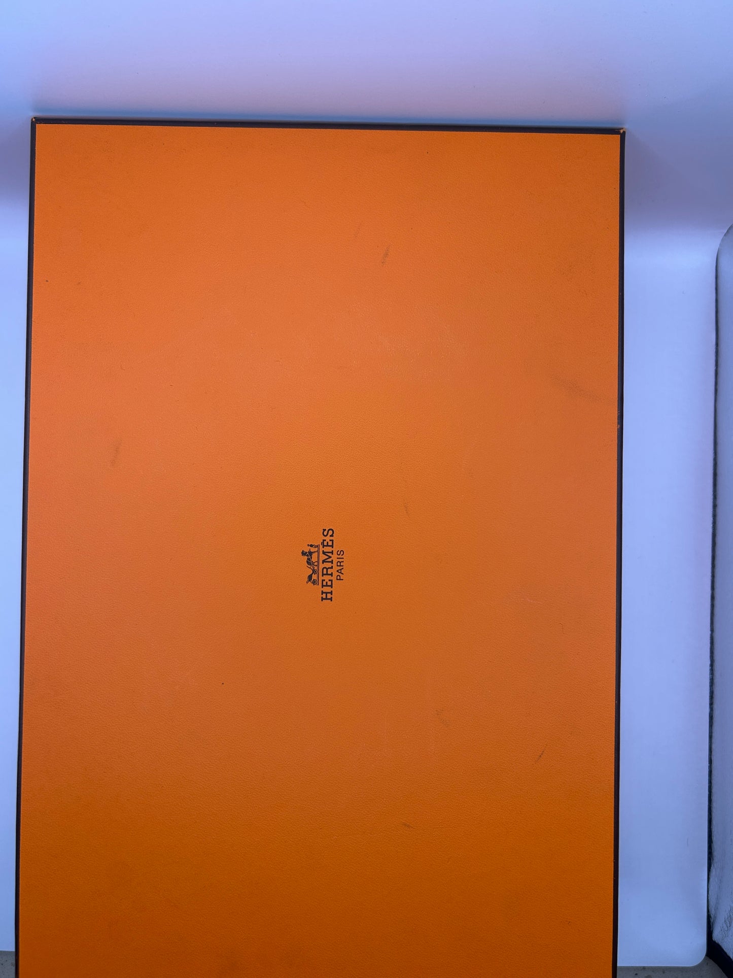 Hermès Oz mules in leather with a
Kelly buckle